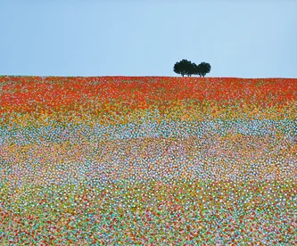 Field of Summer