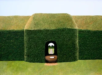 The Little Puddle