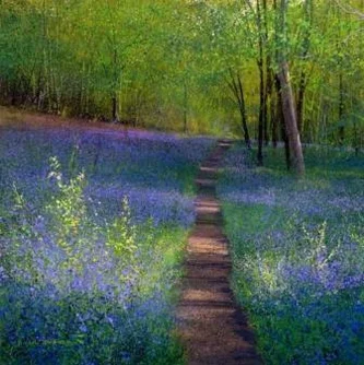 Bluebell Path