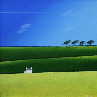 Spring Fields