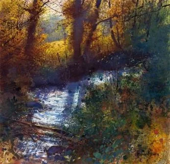 Autumn Contre-Jour