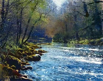 The Dart near Holne Bridge