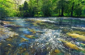 In the Shallows