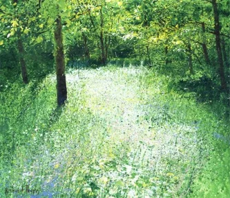 Path of Light
