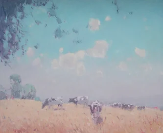 The High Meadow