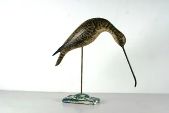 Feeding Shorebird