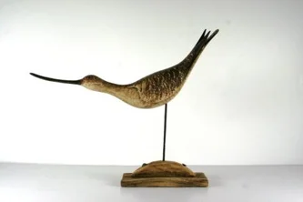 Freak Greenshank