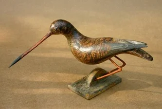 Redshank