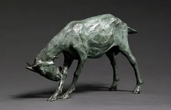 Goat (Scratching Front Leg) 3/15