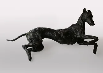 Rolling Greyhound-Lurcher  8/15