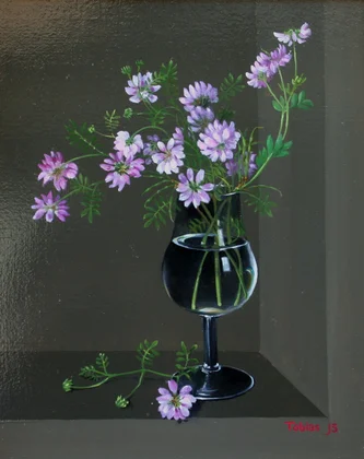 Pink Vetch 
