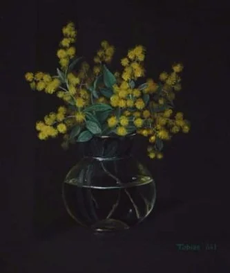 Mimosa