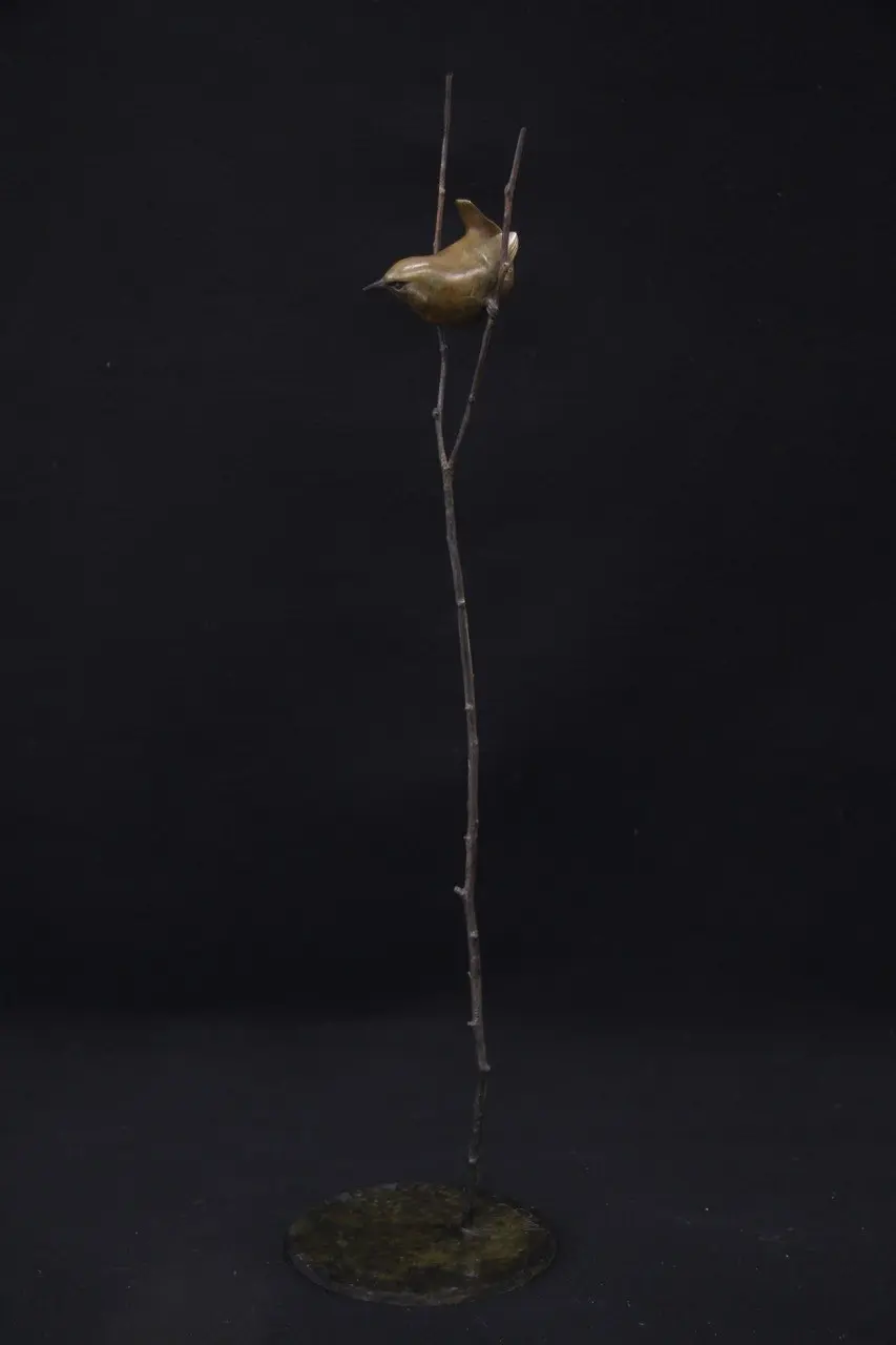 Adam Binder - wren (edition 7/36) 