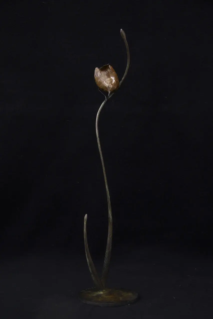 Adam Binder - wren (edition 3/24)