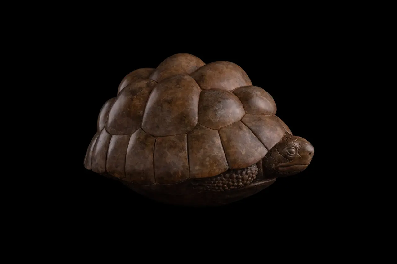 Adam Binder - tortoise (edition 8/24)