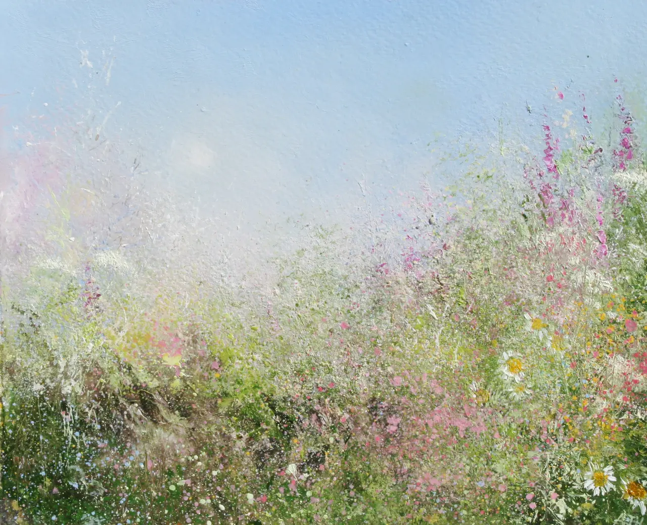 Amanda Hoskin - sunset behind cornish hedgerow