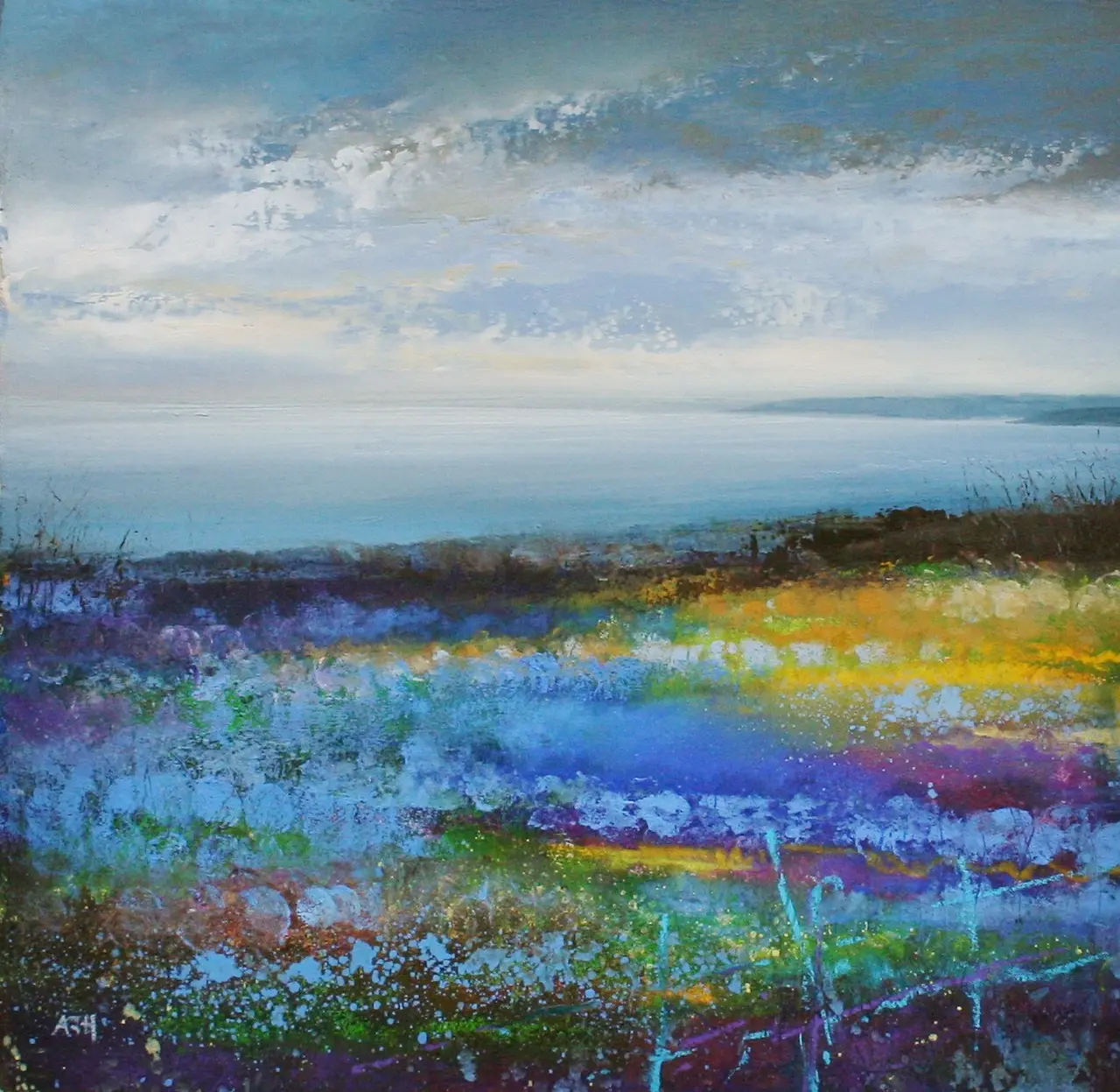 Amanda Hoskin - looking from nare head, cornwall