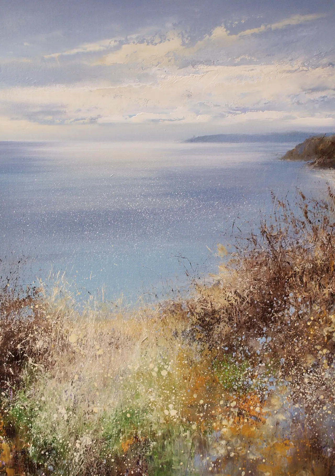 Amanda Hoskin - silver light, start point, devon