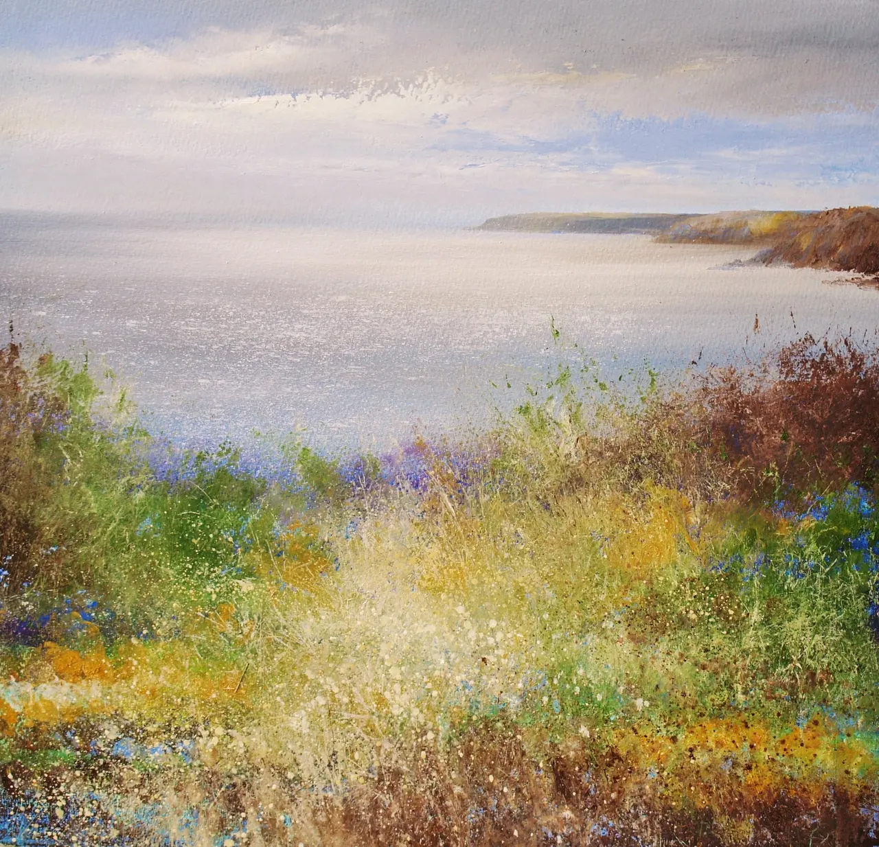 Amanda Hoskin - setting sun, view from nare head