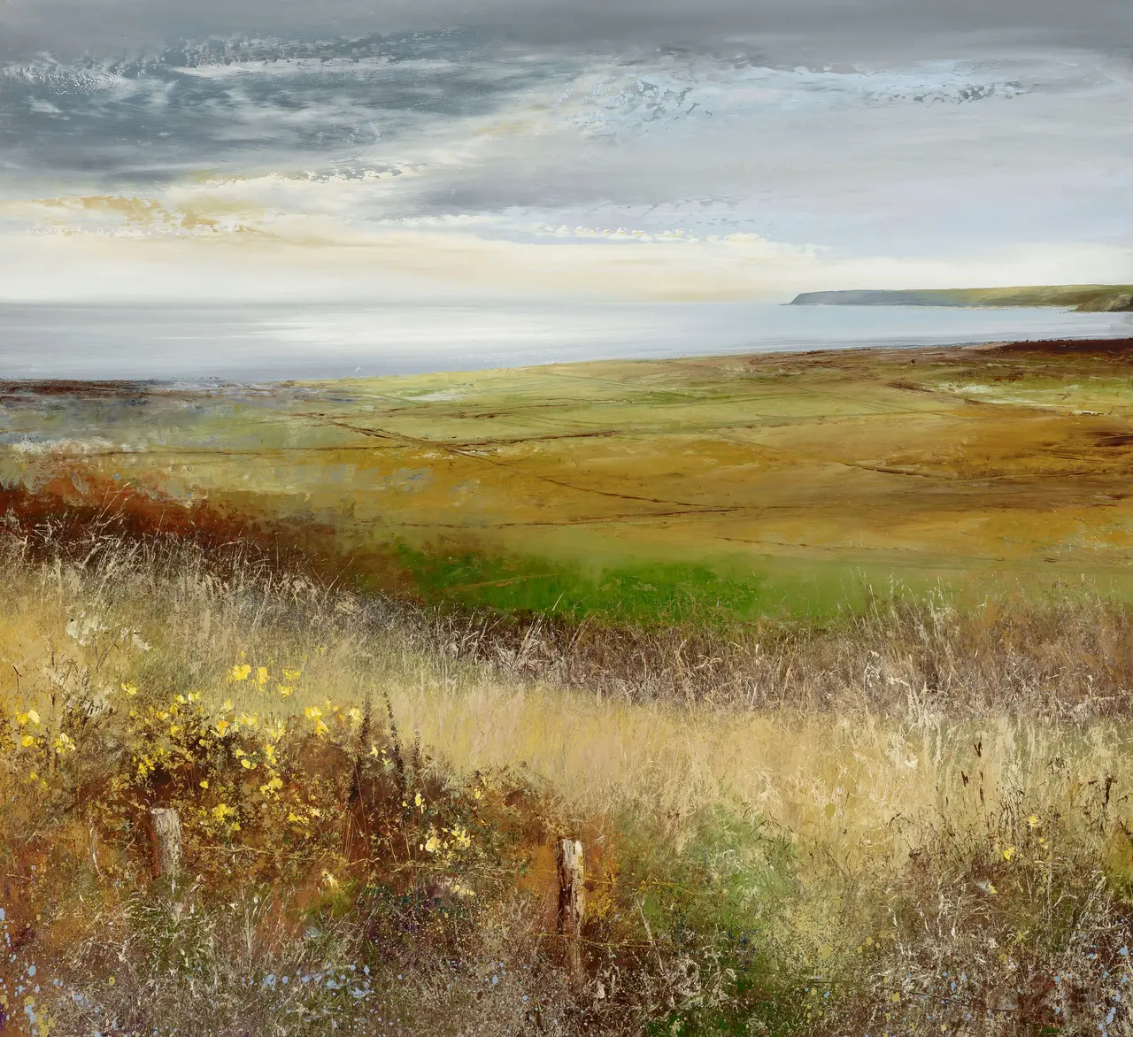 Amanda Hoskin - across the fields to the dodman, cornwall