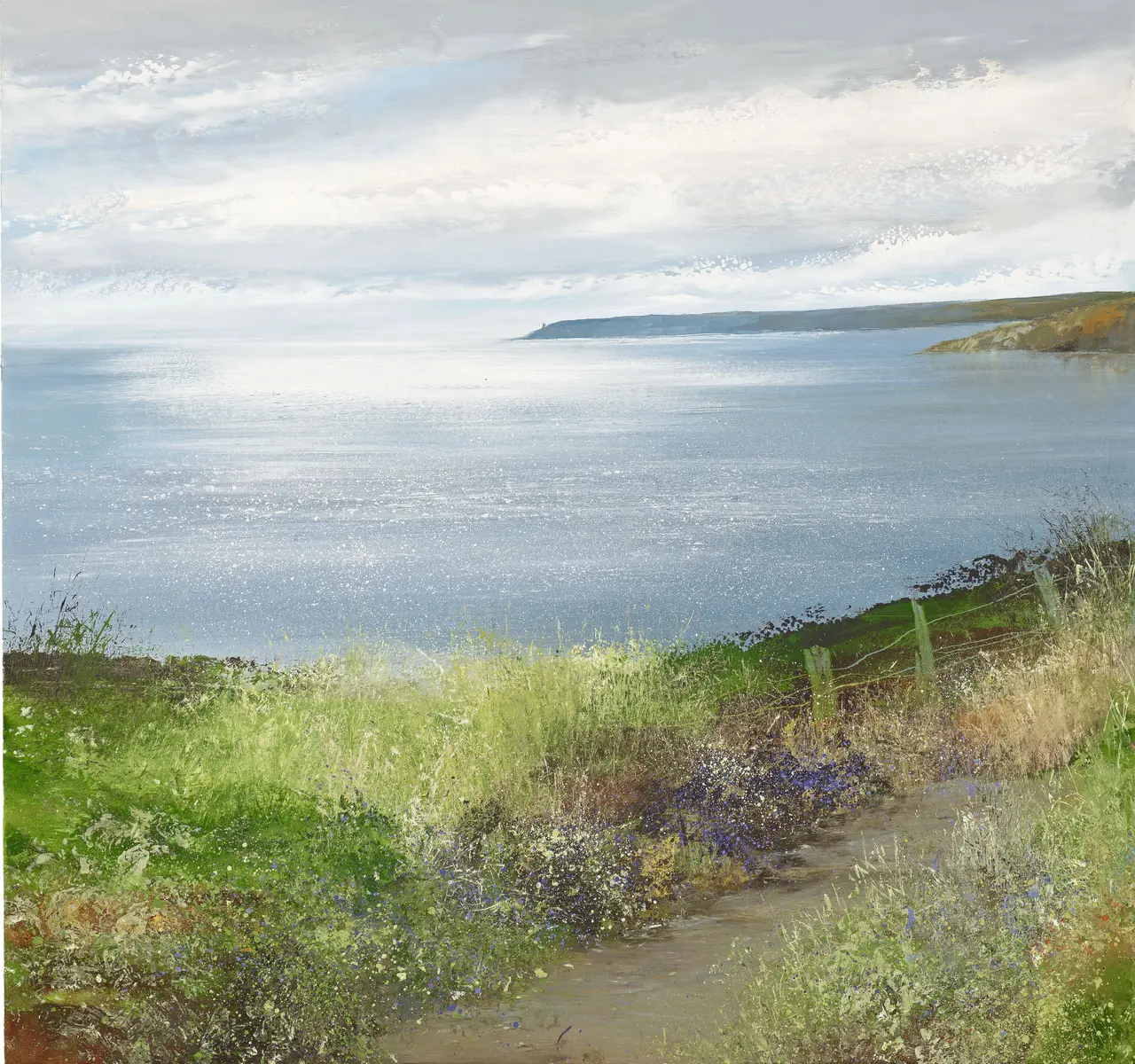 Amanda Hoskin - silver light over start point