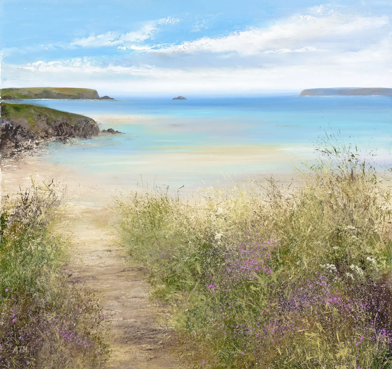 Amanda Hoskin - summer path, daymer bay