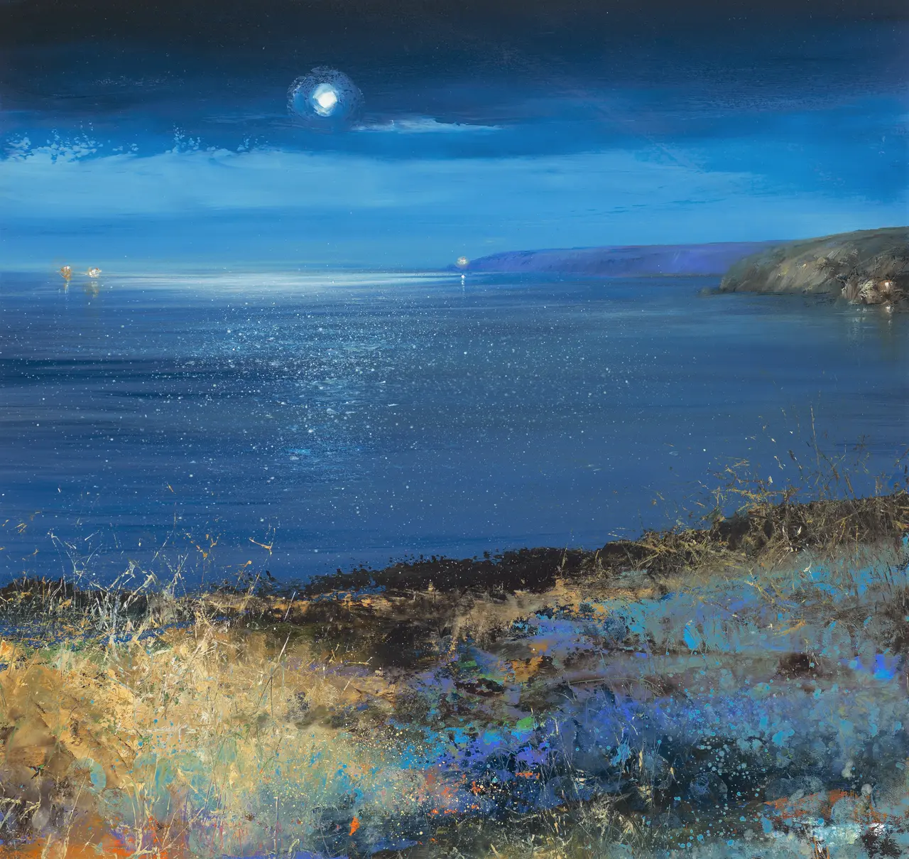Amanda Hoskin - moonlight over start point