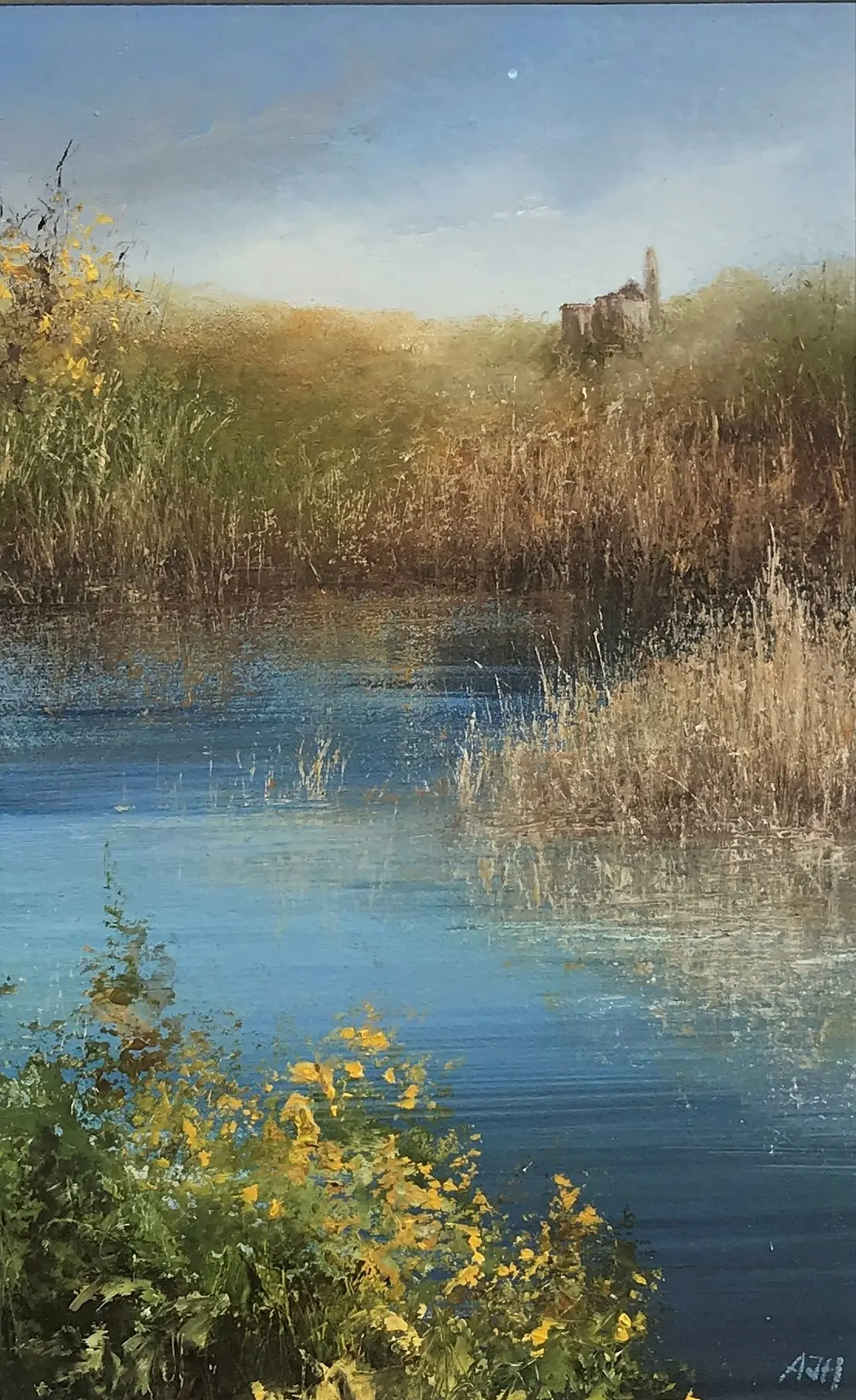 Amanda Hoskin - reflections, retallack ponds, cornwall
