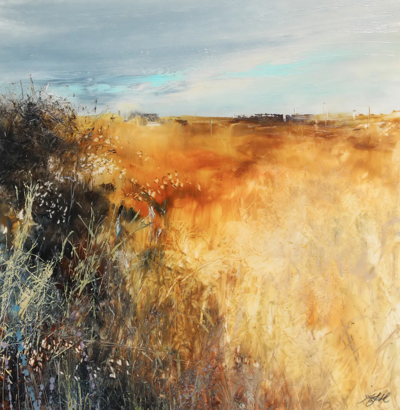 Amanda Hoskin - golden fields, cornwall