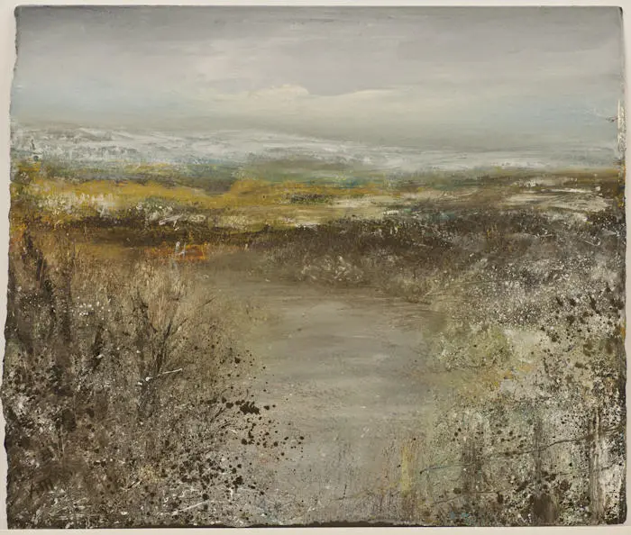 Amanda Hoskin - winter colours, dartmoor