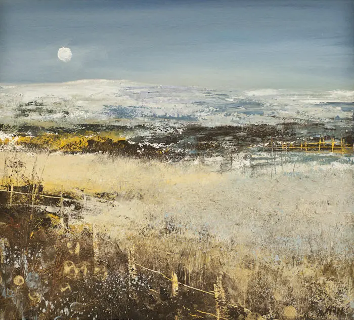 Amanda Hoskin - winter moon, bodmin moor