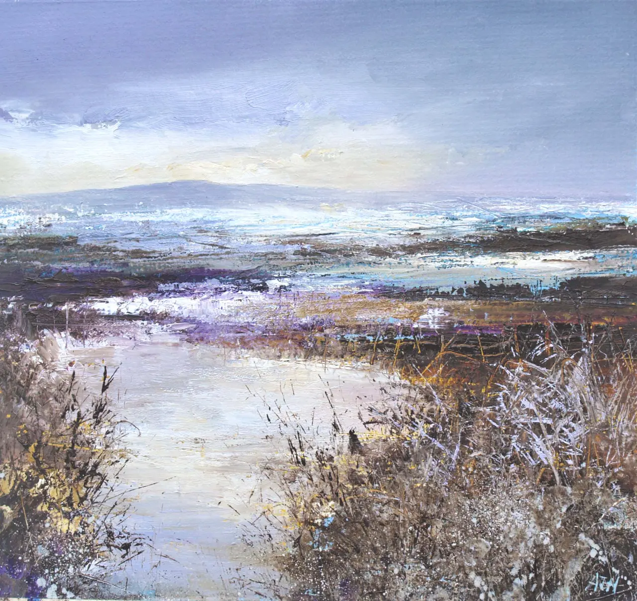 Amanda Hoskin - golden light over the hills