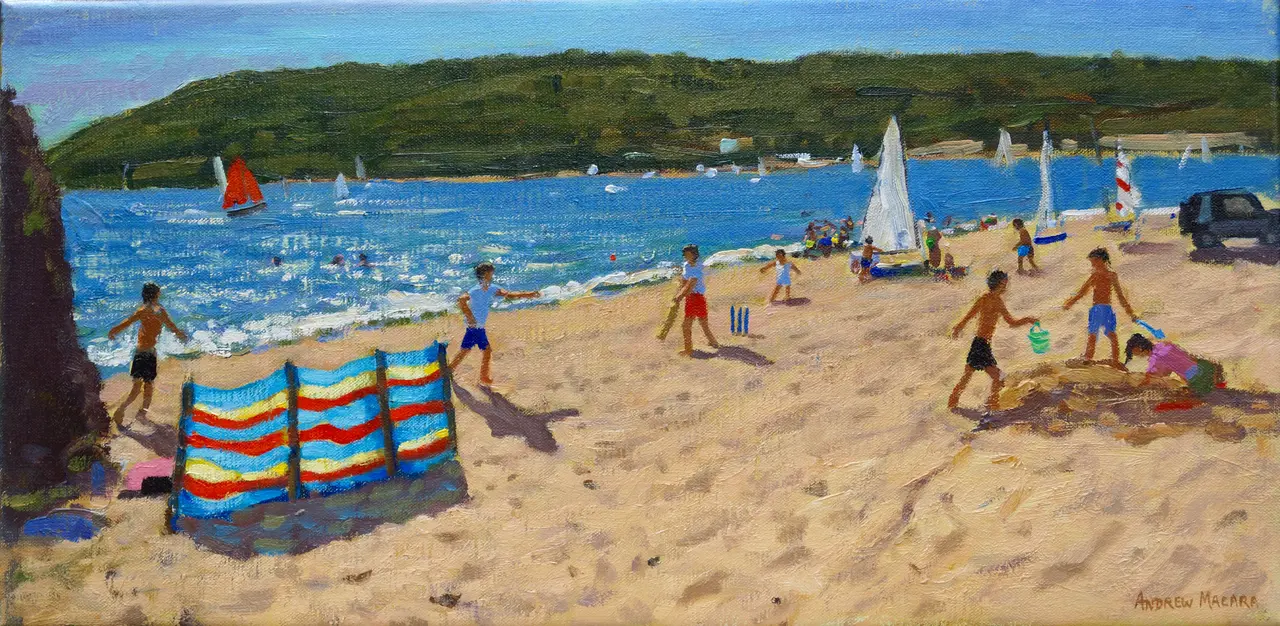 Andrew Macara - cricket and sandcastles, abersoch