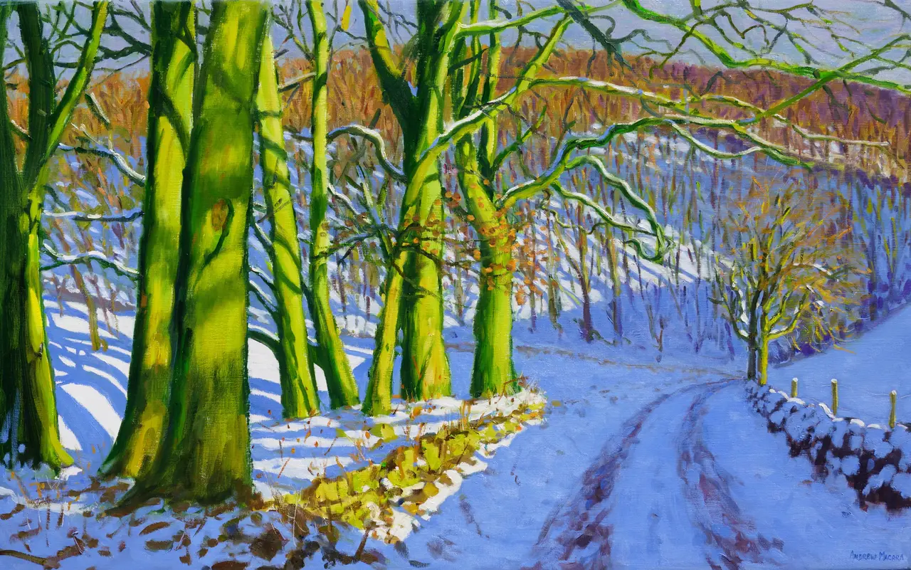 Andrew Macara - green trees, winter, dam lane, derbyshire