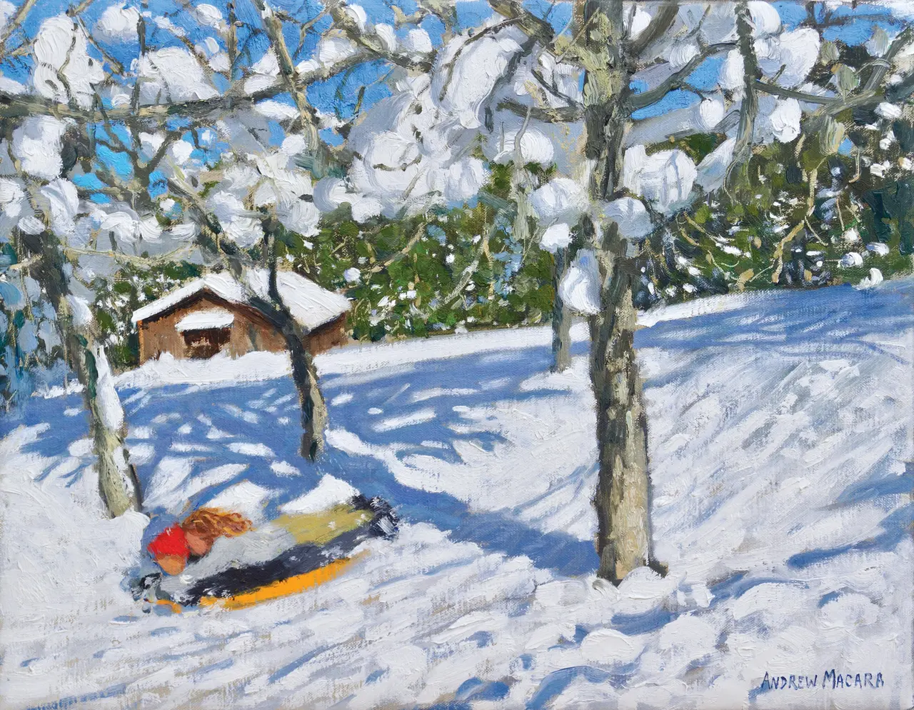 Andrew Macara - sledging in the orchard, morzine