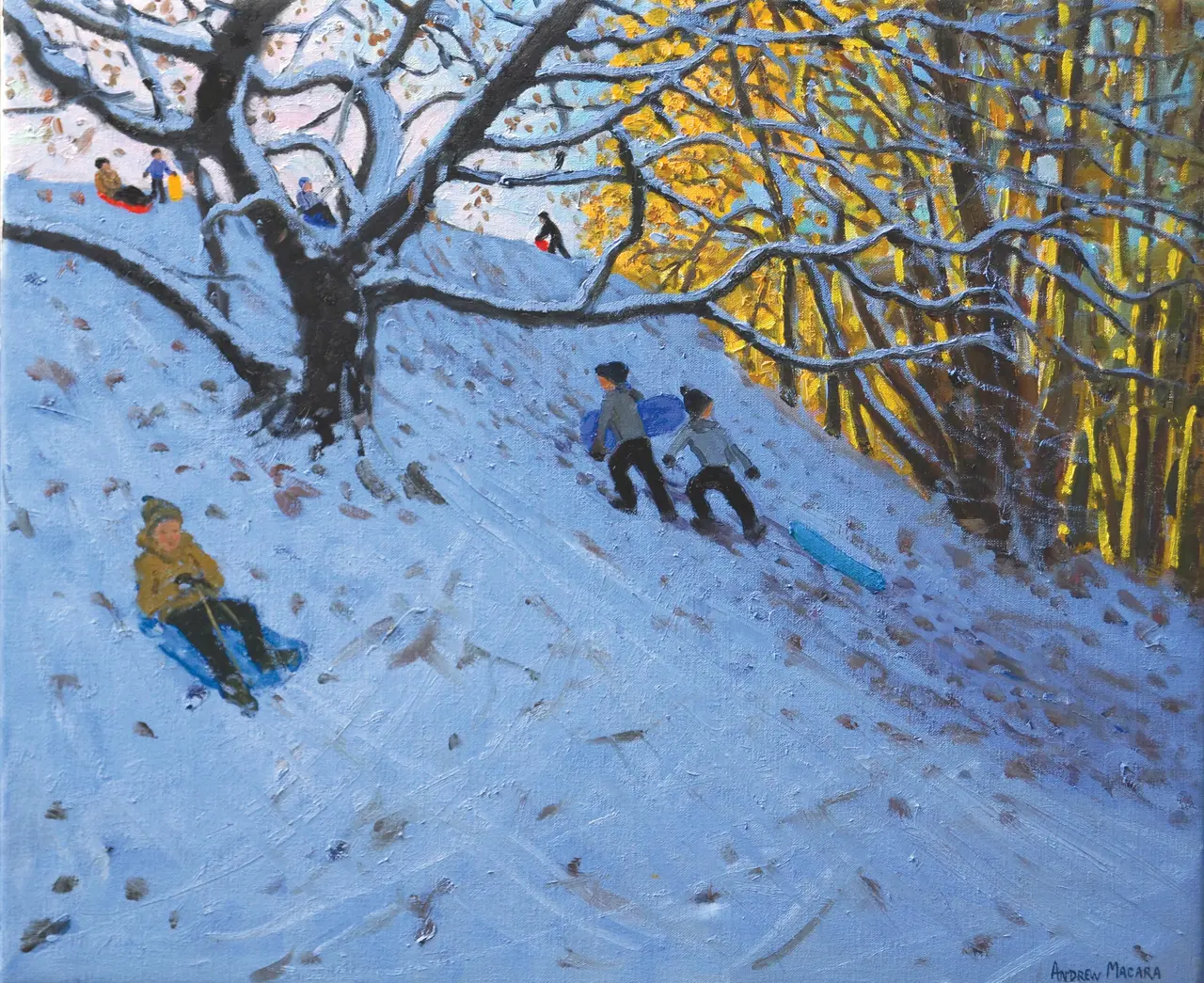 Andrew Macara - sledging, allestree, derbyshire