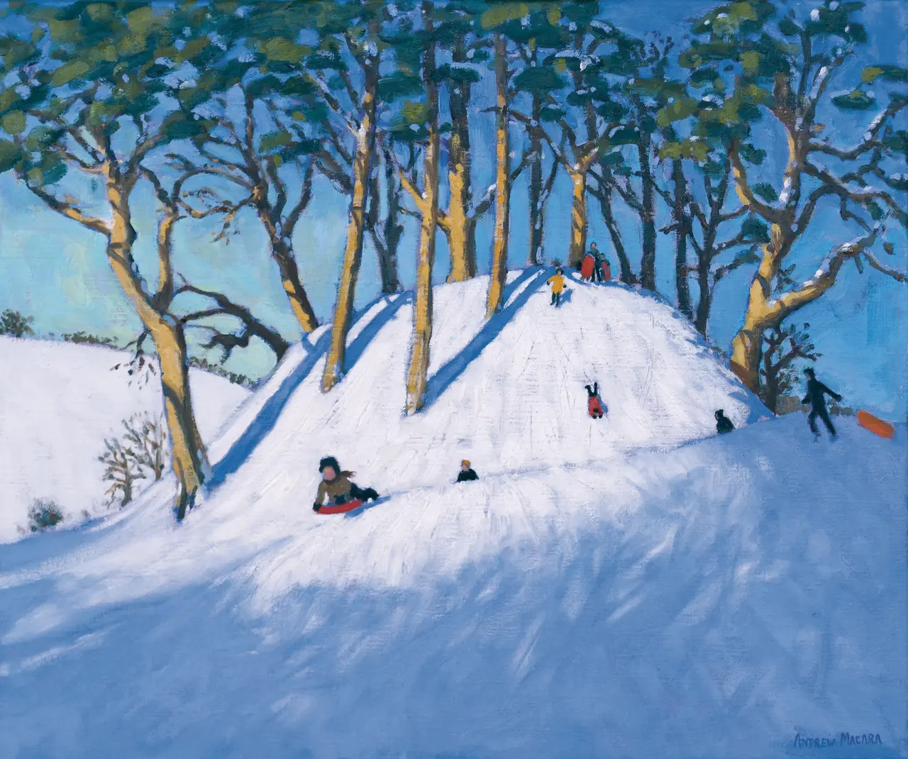 Andrew Macara - welsh hillside in winter