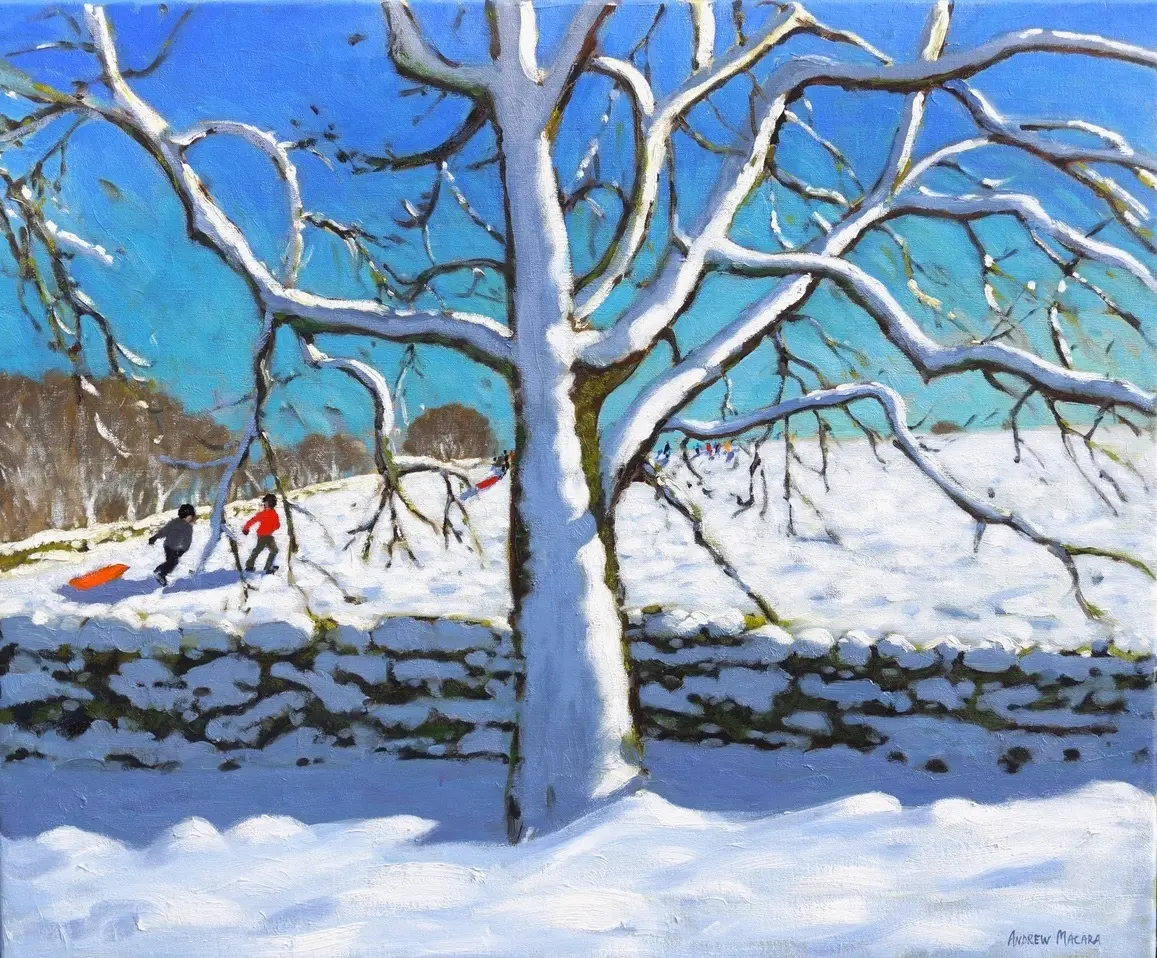 Andrew Macara - tree in winter
