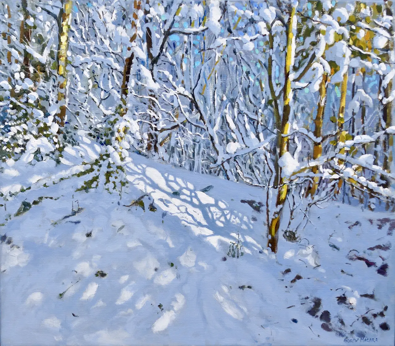 Andrew Macara - deep snow, allestree woods, derbyshire