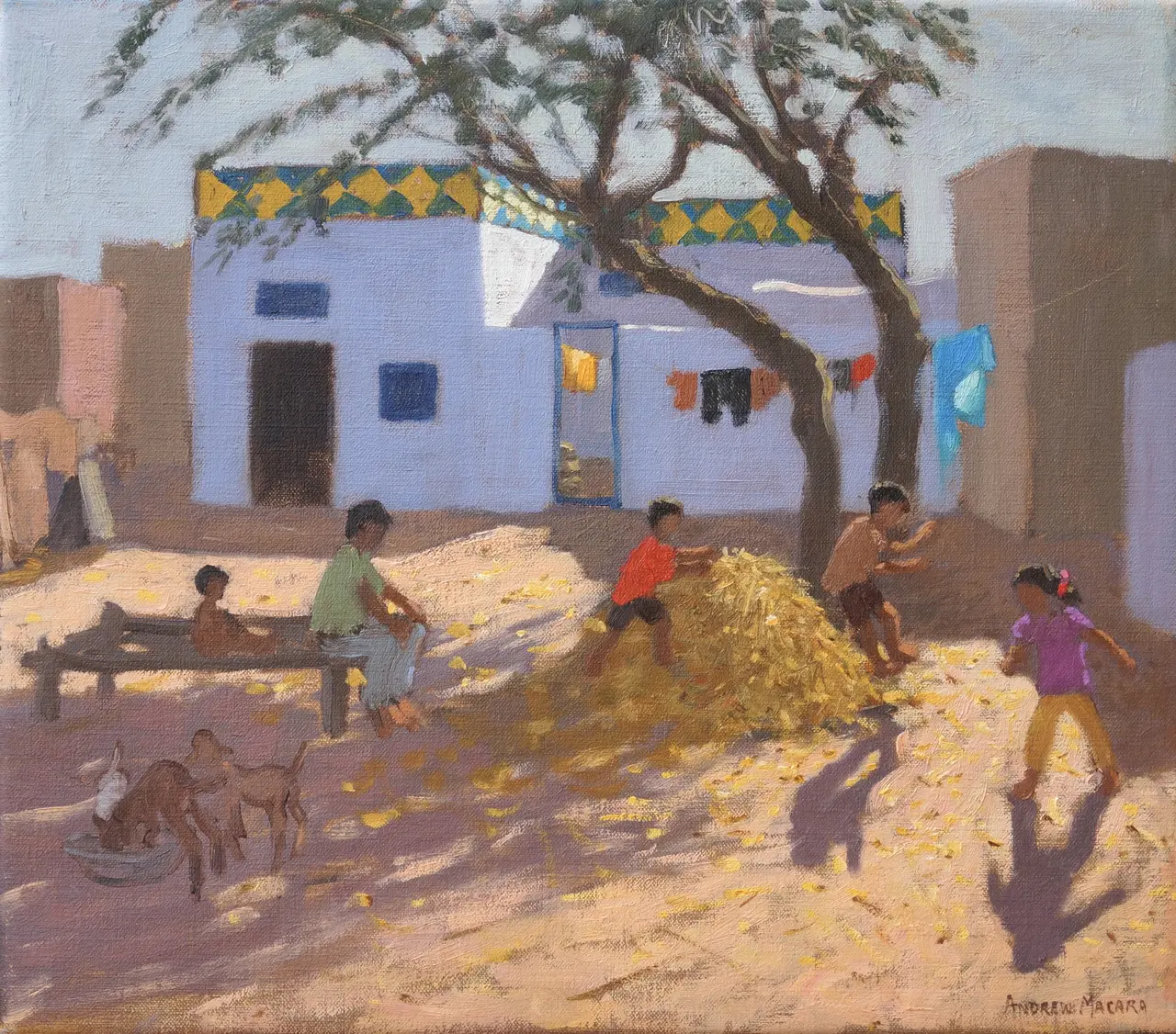 Andrew Macara - playing in the hay, india