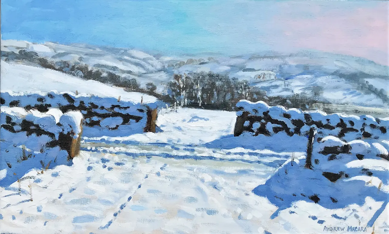 Andrew Macara - open gates, upper hulme, leek