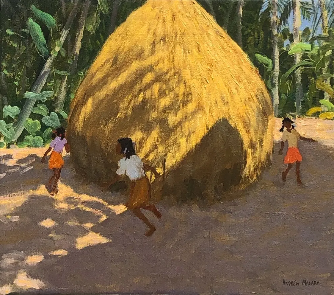 Andrew Macara - haystack, kerala, india