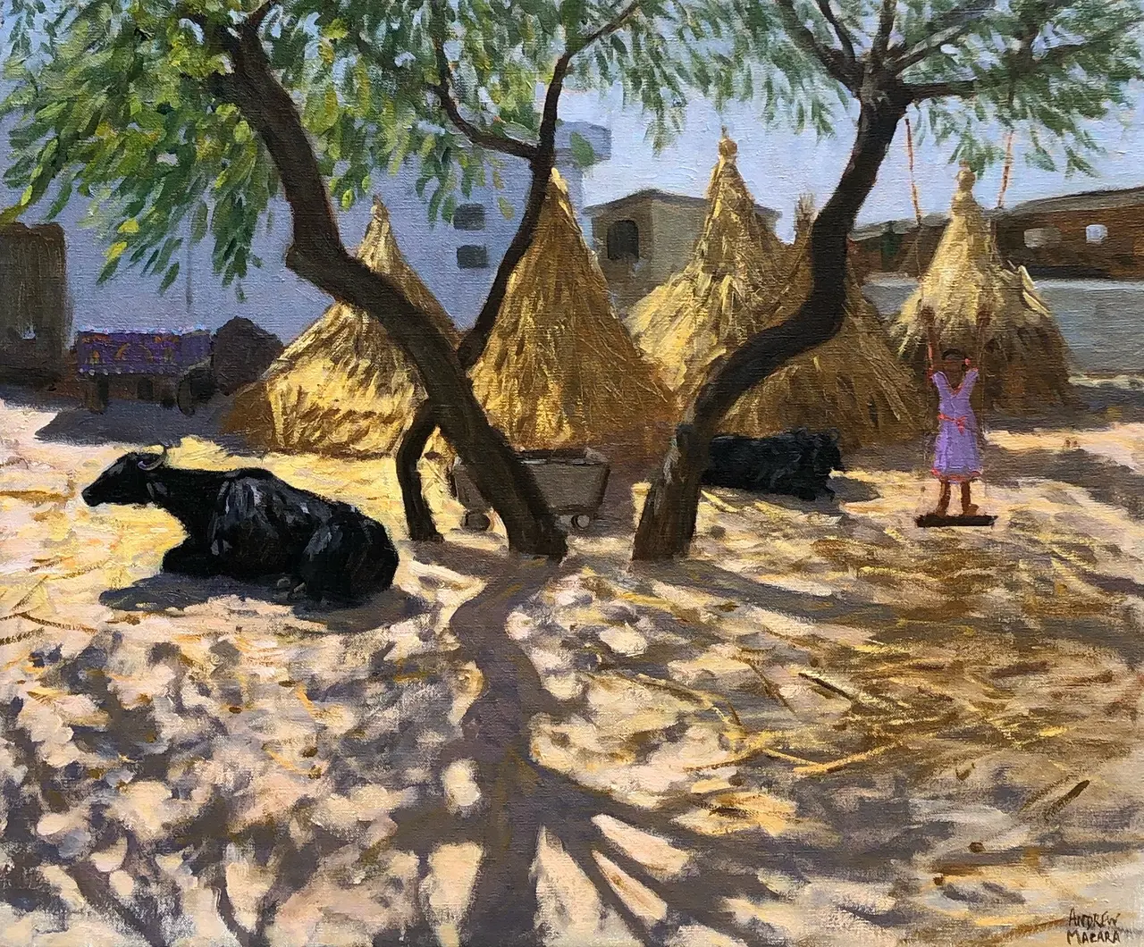 Andrew Macara - farmyard swing, india