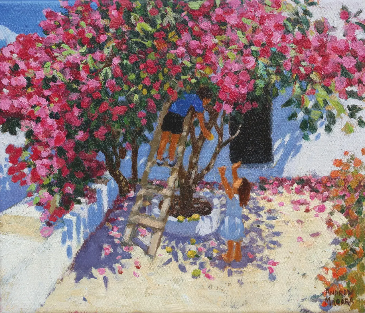 Andrew Macara - picking lemons, skiathos, greece
