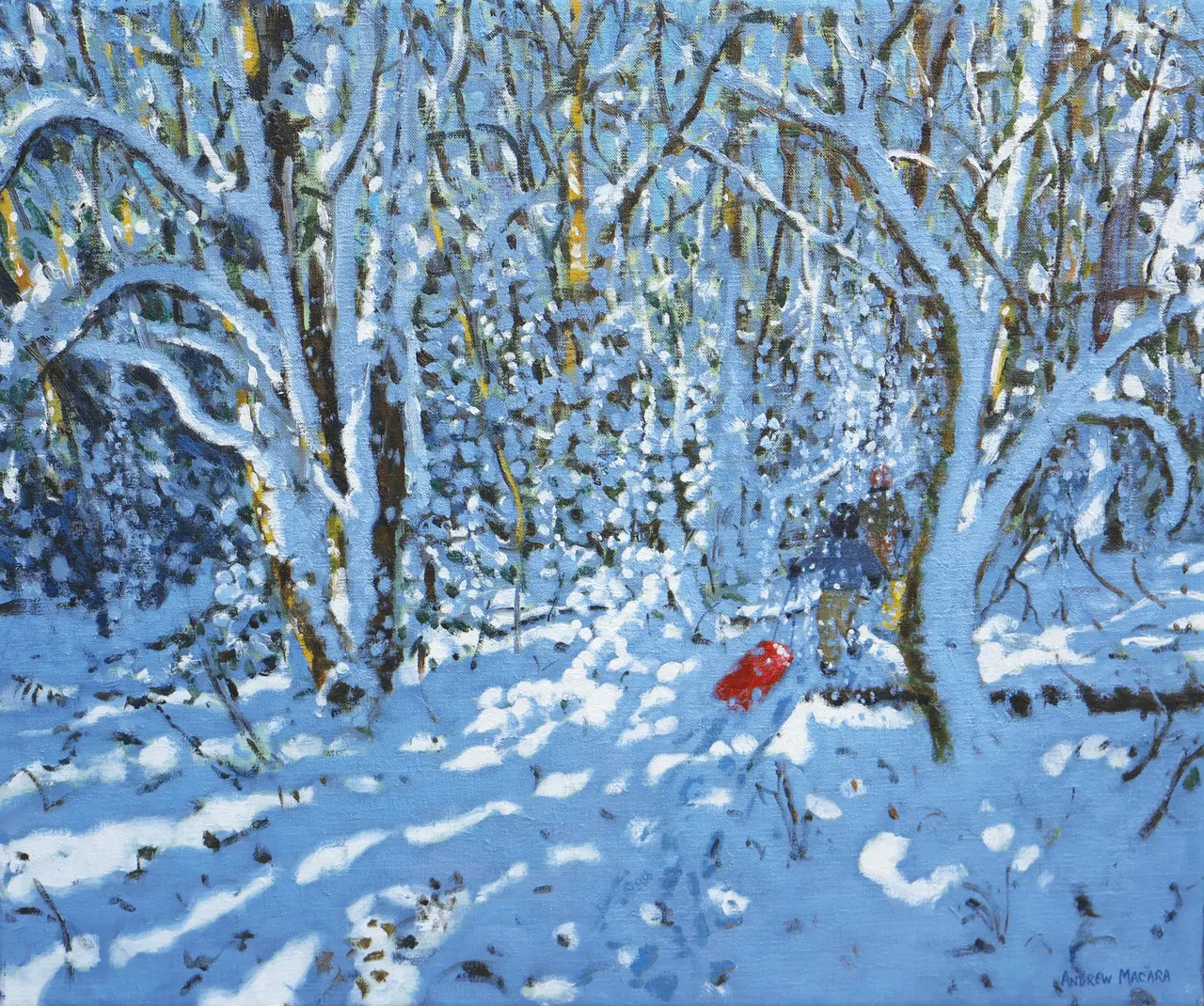 Andrew Macara - red sledge, allestree park, derby