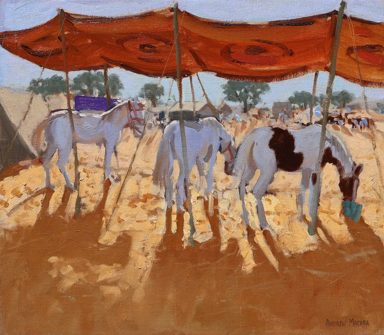 Andrew Macara - three horses, pushkar, camel fair, rajasthan