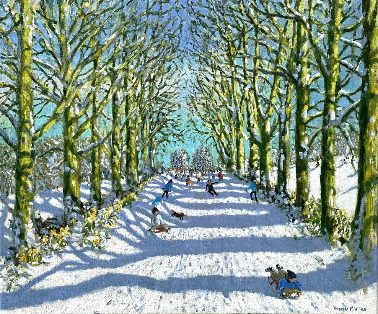 Andrew Macara - fun in the snow and sun