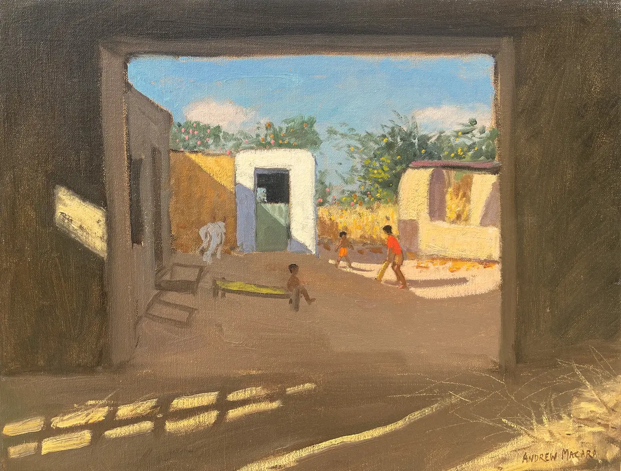 Andrew Macara - rajasthan cricket
