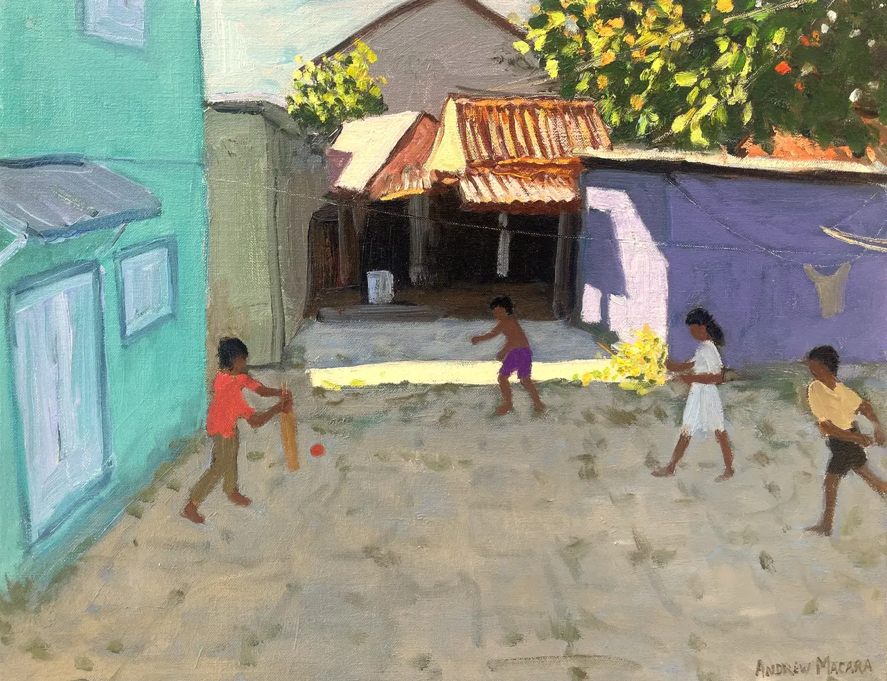 Andrew Macara - cricket in the backyard, india