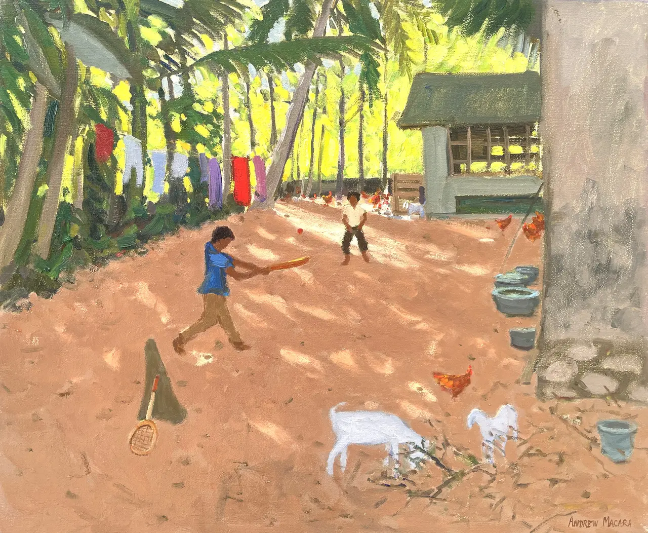 Andrew Macara - cricket in cochin, india